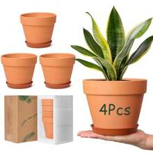 Stone Pot, Clay Pot - View 2