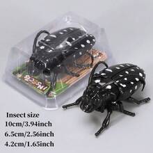 Realistic Insect Wind-Up Toy Model: Crawling And Glow-In-The-Dark - Educational Insect Museum Toy For Teens, Develops Visual And Hand-Eye Coordination Skills, Interactive Toy Party Gift - Multicolor - View 16