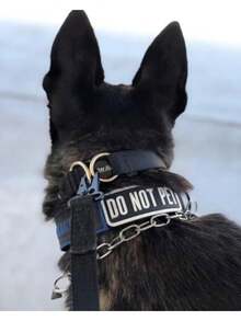 Quick-Release Martingale Pinch Training Collar, 21" Black - Black - View 6