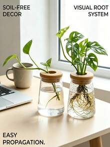 Transparent Glass Hydroponic Vase, Geometric Shaped Vase With Wooden Lid Planter, Desktop Air Purifying Succulent Plant Pot - Multicolor - View 5
