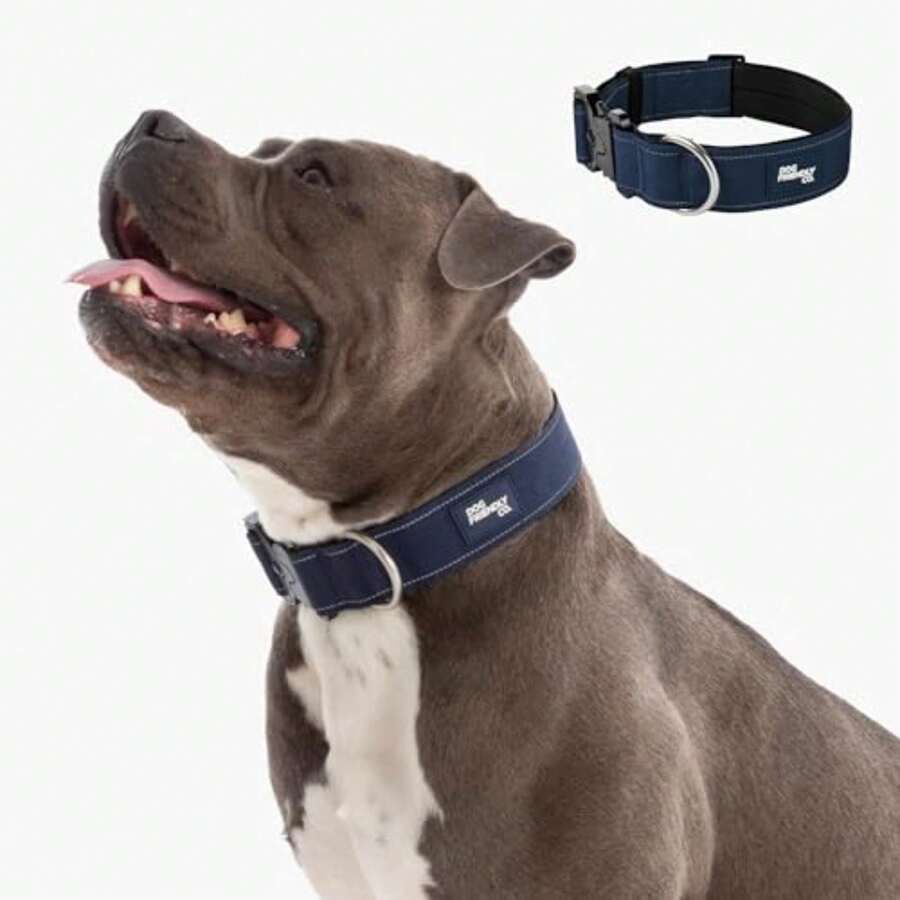 . Tactical Dog Collar For Medium Dogs, Navy/Medium Comfortable And Secure, Quick Release Clip And Heavy Duty D-Ring, Soft Padded Neoprene, Chafe Resistant, Night-Time Visibility - Navy - View 1