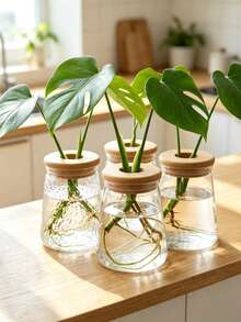 Transparent Glass Hydroponic Vase, Geometric Shaped Vase With Wooden Lid Planter, Desktop Air Purifying Succulent Plant Pot - Multicolor - View 2