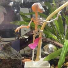 1pc Dancing Skeleton Aquarium Decoration, Oxygen Tube Not Included - A - View 3