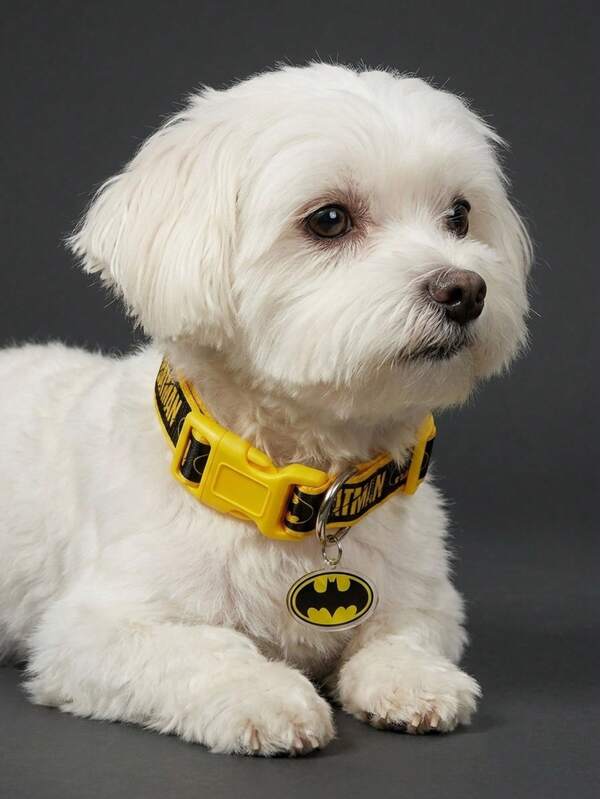 Batman X PETSIN Collar suave lavable con estampado de letras para mascotas, comodidad sin asfixia para gatos y perros, entrenamiento para paseos en interiores/exteriores, accesorio lindo