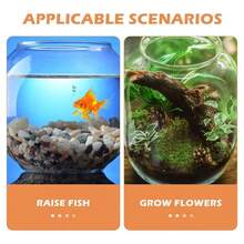 Sturdy Nicely Betta Fish Bowl Small Aquariums For Small Ornamental Fish And Reptiles High Transparency Plastic Good View - Multicolor - View 10