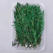 1 Box Realistic Artificial Foliage, Thousand-Layer Gold, Handmade DIY Floral Material, Resin Pressed Flower Floating Vase Making Material, Home Decor, Envelope Decoration, Small Bouquet Making - Multicolor - View 11