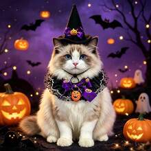 1set-Pet Halloween Witch Hat & Lace Collar Set, Adjustable Comfort Fit, Pumpkin Bell Design, For Halloween Party, Trick-Or-Treat & Cute Photos, Cat Dog Costume Accessory. - Multicolor - View 9