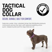 . Tactical Dog Collar For Medium Dogs, Navy/Medium Comfortable And Secure, Quick Release Clip And Heavy Duty D-Ring, Soft Padded Neoprene, Chafe Resistant, Night-Time Visibility - Navy - View 3