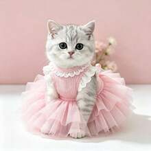 1pc Pet Princess Ballet Dress, Pink & Blue Tulle Mesh, With Leash Hole, Strawberry Decoration, Breathable & Lightweight Fabric, Suitable For Small Dogs & Cats, Fits Teddy, Bichon, Schnauzer, For Daily Wear, Pet Gatherings, Outdoor, Parties & Photo Shoots - Multicolor - View 2