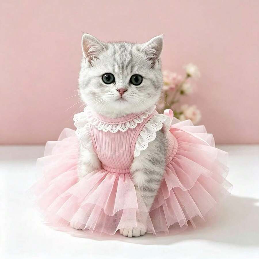 1pc Pet Princess Ballet Dress, Pink & Blue Tulle Mesh, With Leash Hole, Strawberry Decoration, Breathable & Lightweight Fabric, Suitable For Small Dogs & Cats, Fits Teddy, Bichon, Schnauzer, For Daily Wear, Pet Gatherings, Outdoor, Parties & Photo Shoots