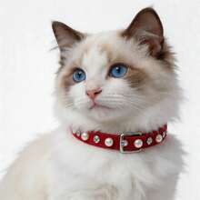 Pet Collar Small Dog Cat Accessory Pearl Rhinestone Adjustable Necklace With Bell Neck Collar Multiple Colors Available - Multicolor - View 6