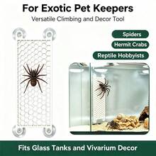 Wall‑Mount Suction Cup Hexagonal Mesh Climbing Board, Jumping Spider Enclosure Accessory, Plastic Vivarium Decor, Tarantula Spider Climbing Rest Exploring Habitat Decor For Small Exotic Insect Pets - View 3