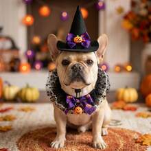 1set-Pet Halloween Witch Hat & Lace Collar Set, Adjustable Comfort Fit, Pumpkin Bell Design, For Halloween Party, Trick-Or-Treat & Cute Photos, Cat Dog Costume Accessory. - Multicolor - View 6