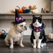 1set-Pet Halloween Witch Hat & Lace Collar Set, Adjustable Comfort Fit, Pumpkin Bell Design, For Halloween Party, Trick-Or-Treat & Cute Photos, Cat Dog Costume Accessory. - Multicolor - View 3