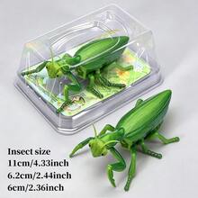 Realistic Insect Wind-Up Toy Model: Crawling And Glow-In-The-Dark - Educational Insect Museum Toy For Teens, Develops Visual And Hand-Eye Coordination Skills, Interactive Toy Party Gift - Multicolor - View 8