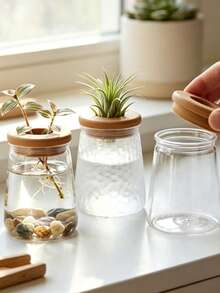 Transparent Glass Hydroponic Vase, Geometric Shaped Vase With Wooden Lid Planter, Desktop Air Purifying Succulent Plant Pot - Multicolor - View 7