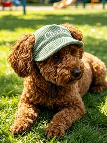 Customized Dog Hat With Ear Holes, Dog Summer Ear-Hole Sun Protection Hat,Adjustable Dog Sun Hat,Personalized Corduroy Pet Baseball Cap, Sun Hat Suitable For Small, Medium And Large Dogs, Puppy Gift - Multicolor - View 2
