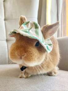 Cute Rabbit Small Animal Pet Hat Clothing Set Accessories, Suitable For Rabbits, Guinea Pigs, Kittens, Puppies, Ferrets - Multicolor - View 8