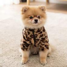 Fashionable Dog & Cat Leopard Print Two-Sleeve Handsome Hoodie Sweatshirt, Cute Zipper Jacket For Pets, Autumn/Winter - Multicolor - View 8