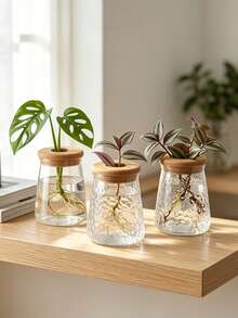 Transparent Glass Hydroponic Vase, Geometric Shaped Vase With Wooden Lid Planter, Desktop Air Purifying Succulent Plant Pot - Multicolor - View 6