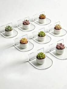 1/2/4pcs Acrylic Wall Mounted Display Shelf, No-Drill Transparent Floating Storage Rack For Collectibles, Miniature Models, Figurines, Home Decor, Earrings, Creative Jewelry Photography & Display Props - Multicolor - View 4