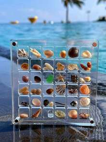 Acrylic Shell Display Box, Shell Storage Box, Beach Themed Room Decor, Suitable For Storing Starfish, Shells, Jewelry, Holiday Trinkets, Travel Essential, Specially Designed For Micro Landscapes, Ideal Choice For Beach Travel Projects. Shells Not Included - Multicolor - View 8