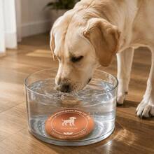 New Bird Bath Disk Copper Basin Water Pool Cleaner Copper Round Plate - Style A - View 10