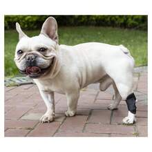 Pet Dog Protective Leg Muffs,Dog Canine Rear Leg Hock Joint Brace Compression Wrap Brace DoLeg Sleeve Protects,Pet Bandage,Prevents Injuries And Sprains Helps With Loss Of Stability From ,Suitable For Small And Medium-Sized Dogs,Black.S-XL. - View 4