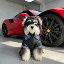 Patchwork Plaid Pet Leather Jacket, Small Cat & Dog Autumn/Winter Motorcycle Style Coat - Blue - View 4