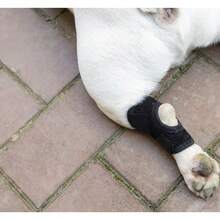 Pet Dog Protective Leg Muffs,Dog Canine Rear Leg Hock Joint Brace Compression Wrap Brace DoLeg Sleeve Protects,Pet Bandage,Prevents Injuries And Sprains Helps With Loss Of Stability From ,Suitable For Small And Medium-Sized Dogs,Black.S-XL. - View 7