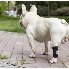 Pet Dog Protective Leg Muffs,Dog Canine Rear Leg Hock Joint Brace Compression Wrap Brace DoLeg Sleeve Protects,Pet Bandage,Prevents Injuries And Sprains Helps With Loss Of Stability From ,Suitable For Small And Medium-Sized Dogs,Black.S-XL. - View 6