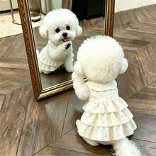 1 buah Rok Kue Berlapis untuk Anjing/Kucing Peliharaan, Gaun Putri Ringan dan Lembut untuk Musim Semi/Panas, Cocok untuk Teddy Poodle dan Hewan Peliharaan Kecil Lainnya - Putih - View 11