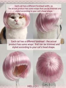 1pc Pet Cat Dog Wig, Pink Bangs Bob Hair Accessory, Suitable For Cats And Dogs To Wear, Applicable For Taking Funny Pet Photos, Attending Theme Parties, Birthday Parties And Daily Dress-Up - Baby Pink - View 4