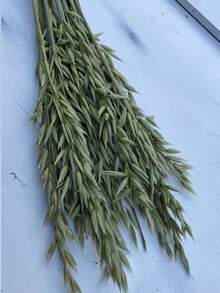 15/30/60 枝人造燕麥花花束，適用於婚禮、聖誕裝飾、DIY家居裝飾 - 原色(綠色) - 查看 3