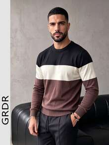 GRDR Men's New Colorblock Striped Crew Neck Long Sleeve Knit Top - Casual Daily Commute - Brown - View 5