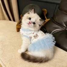 1pc Pet Princess Ballet Dress, Pink & Blue Tulle Mesh, With Leash Hole, Strawberry Decoration, Breathable & Lightweight Fabric, Suitable For Small Dogs & Cats, Fits Teddy, Bichon, Schnauzer, For Daily Wear, Pet Gatherings, Outdoor, Parties & Photo Shoots - Multicolor - View 7