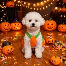 1 Set Halloween Theme Cosplay Costume Pumpkin Pet Transformation Outfit, Cute Funny Suspenders Dress For Small And Medium Dogs, Holiday Party Photo Shoot Dog Decorative Clothing - Multicolor - View 6