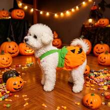 1 Set Halloween Theme Cosplay Costume Pumpkin Pet Transformation Outfit, Cute Funny Suspenders Dress For Small And Medium Dogs, Holiday Party Photo Shoot Dog Decorative Clothing - Multicolor - View 4