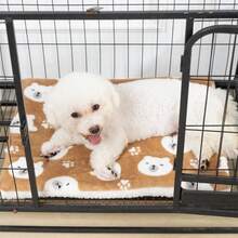 Thickened Warm Pet Sleeping Mat For Dogs And Cats, Winter Fleece Blanket, All-Season Dog Bed Pad, Random Color - Random Color - View 6