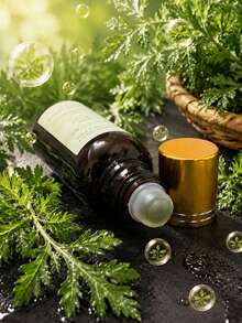 1 botol Obat Tradisional Cina Cair untuk Perawatan Harian dari Daun Mugwort - View 1