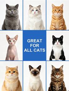 Oivolii Cat Shampoo 2 In 1 With Coconut & Oatmeal, Deep Cleansing & Moisturizing, For Sensitive Skin, Fresh Soft Coat, Luxurious Essential Pet Bath, 3.38 Fl Oz - 100ml - View 8