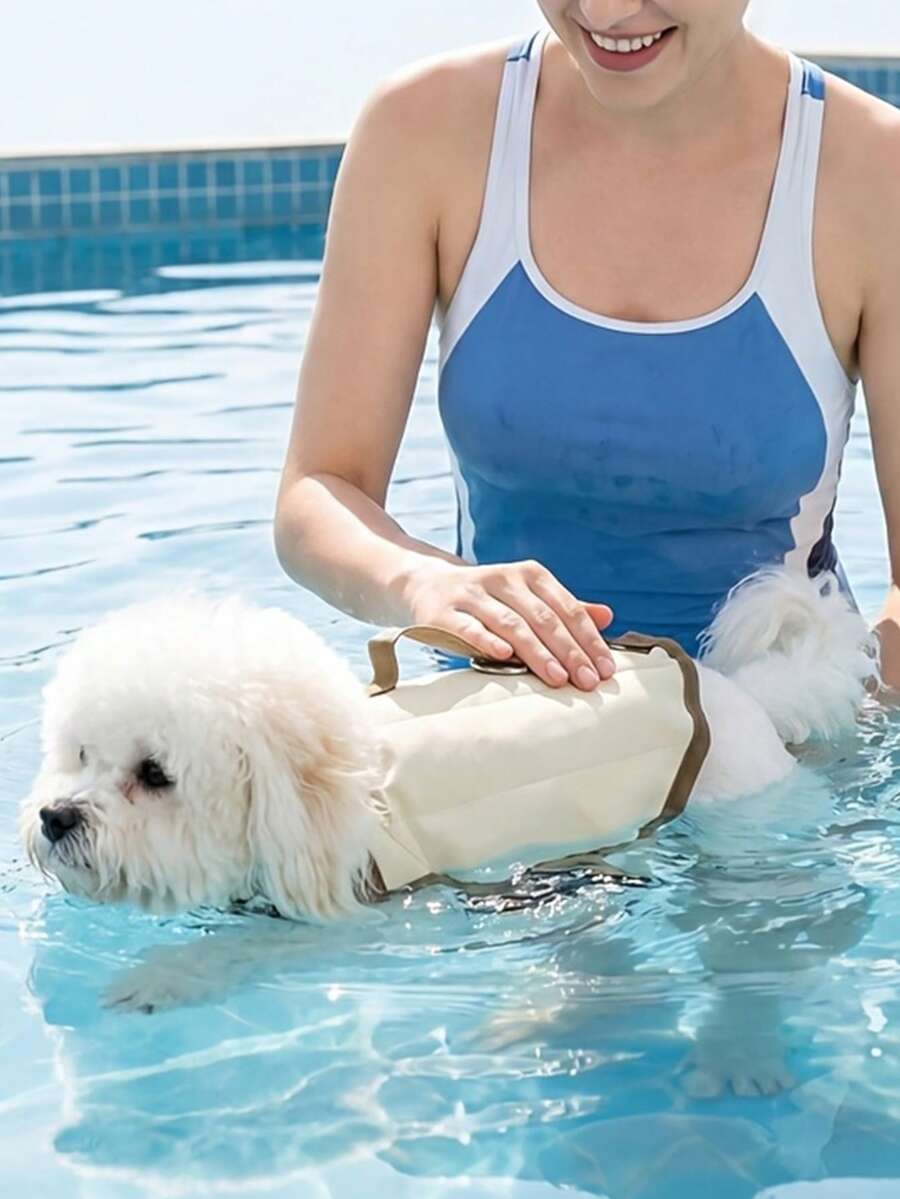 2pcs Pet Life Jacket With Leash, Sporty Lightweight Beach Swimsuit, Protective Wear, Dog Swimming Suit/Buoyancy Vest, Dog Floating Water Jacket, Suitable For Small Dogs, Medium Dogs, Can Be Used For Outdoor Walks, Leash, Dog Clothes, Dog Halloween Costume - Multicolor - View 1