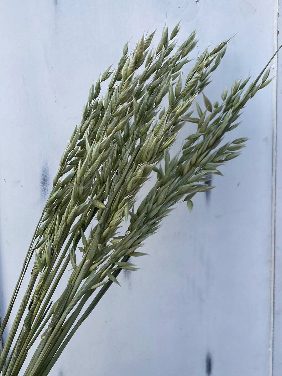15/30/60 枝人造燕麥花花束，適用於婚禮、聖誕裝飾、DIY家居裝飾 - 原色(綠色) - 查看 1