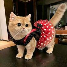 Cute Polka Dot Pet Princess Dress, Breathable Mesh Dog Dress With Bow Decor, Exquisite Puppy Tutu Dress, Suitable For Small Cats And Dogs, Spring/Autumn Fashion Pet Apparel - Multicolor - View 10