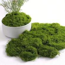 人造苔蘚地毯 水族造景仿生草坪 模擬苔蘚微景佈局 盆栽植物路徑苔蘚墊 苔蘚裝飾 人造苔蘚 - 綠色苔蘚地毯 - 查看 13