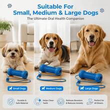 Pet Toothbrush Holder Interactive Dog Toy Durable Dog Chew Toy Clean Teeth Dog Bite-Resistant Toothbrush Cleaning Chewing Toy Suitable For Small To Large Dogs Easier Dog Brushing Pet Toothbrush And Chew Stick - Multicolor - View 9