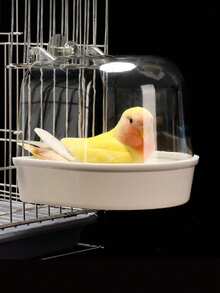 鸚鵡用品 鳥浴盆 鳥洗澡盆 玩具 倉鼠玩具 倉鼠日常用品 鳥玩具 鳥日常用品 隨機顏色 每款皆美觀 超吸水浴巾 快乾高級微纖維毛巾 寵物清潔護理用品 浴袍 適用於八哥鳥 虎皮鸚鵡 牡丹鸚鵡 虎皮鸚鵡 各類鸚鵡 - D - 查看 2