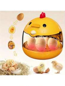5 piezas Incubadora para el hogar con ovoscopio, apta para empollar huevos de pollo, pato, codorniz y ganso, con ventana transparente, control de humedad, control automático de temperatura, volteo manual de huevos, Mamá Pájaro - Albaricoque - Ver 5
