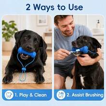Pet Toothbrush Holder Interactive Dog Toy Durable Dog Chew Toy Clean Teeth Dog Bite-Resistant Toothbrush Cleaning Chewing Toy Suitable For Small To Large Dogs Easier Dog Brushing Pet Toothbrush And Chew Stick - Multicolor - View 5