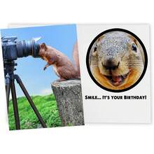 Gender-Neutral Humorous Birthday Card, Suitable For Friends, Colleagues And Sisters, Animal Lovers, Blank Space For Handwritten Wishes, Full Of Fun - View 5